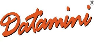 Datamini Technologies